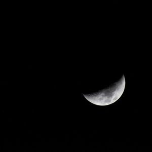 Meet your Posher, Cole